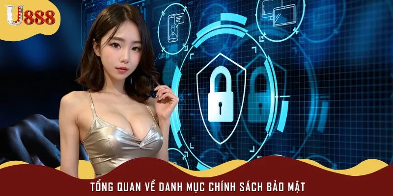 Những nét chính về danh mục trên hệ thống