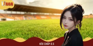 Kèo Chấp 0.5 | Khái Niệm Cơ Bản Và Những Điều Cần Biết