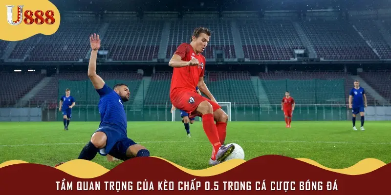 Vai trò của kèo chấp 0.5 trong bóng đá
