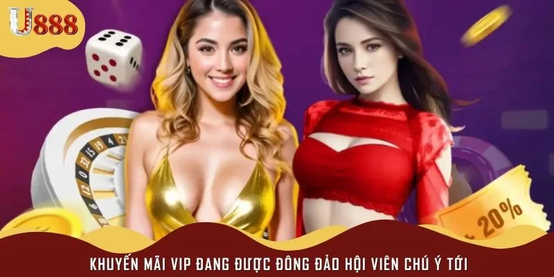 Khuyến mãi VIP đang được đông đảo hội viên chú ý tới