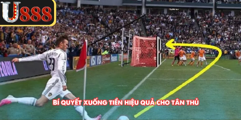 Bí quyết xuống tiền hiệu quả cho tân thủ