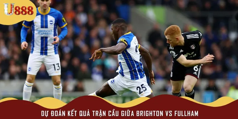 Giới chuyên môn đánh giá khả năng Brighton sẽ giành được thắng lợi