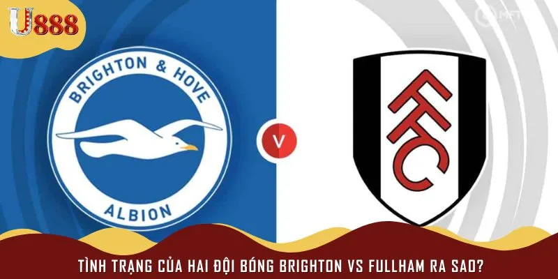 Brighton vs Fullham đều có những vấn đề riêng cần giải quyết