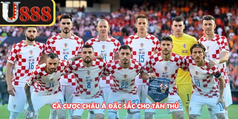 Cá cược châu Á đặc sắc cho tân thủ