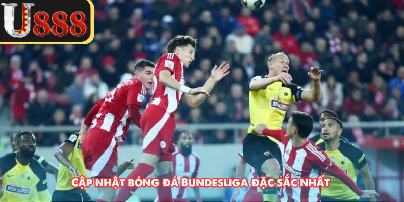 Cập nhật bóng đá Bundesliga đặc sắc nhất