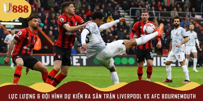 Đội hình ra sân dự kiến của Liverpool vs AFC Bournemouth sắp tới