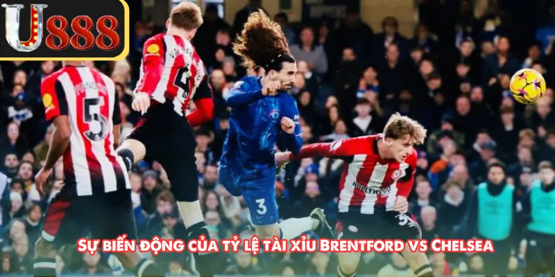 Sự biến động của tỷ lệ tài xỉu Brentford vs Chelsea