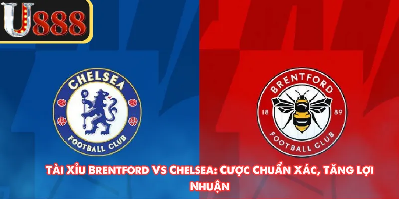 Tài Xỉu Brentford Vs Chelsea: Cược Chuẩn Xác, Tăng Lợi Nhuận