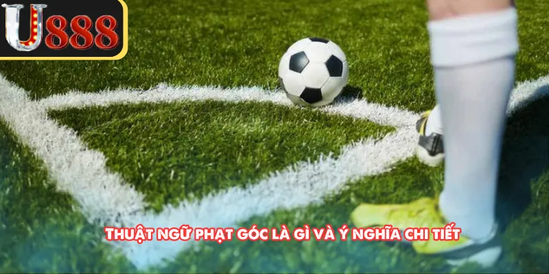Thuật ngữ phạt góc là gì và ý nghĩa chi tiết