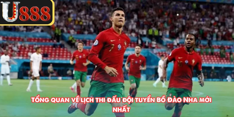 Tổng quan về lịch thi đấu đội tuyển Bồ Đào Nha mới nhất